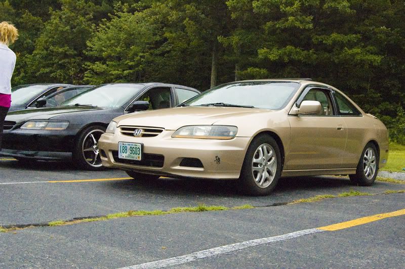 DSC_8680.jpg