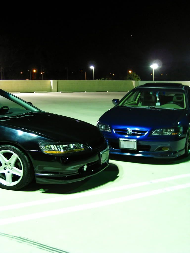 IMG_0640e.jpg