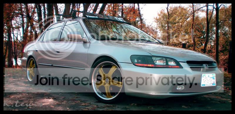 goldwheels2.jpg