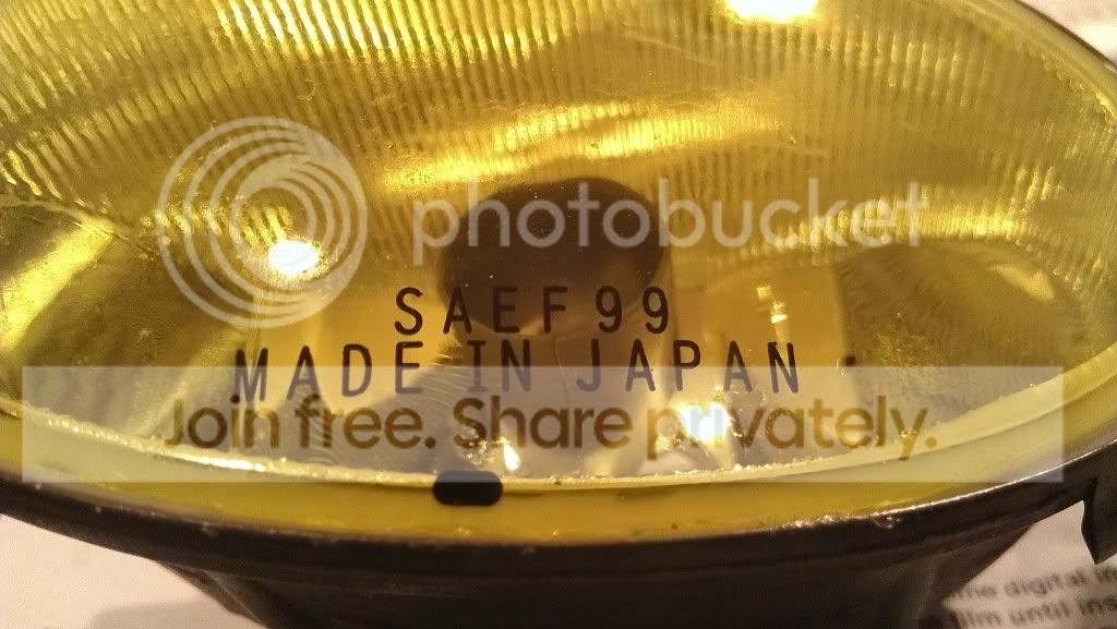 IMAG0228-1.jpg