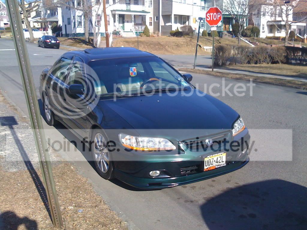 iphonepics086.jpg