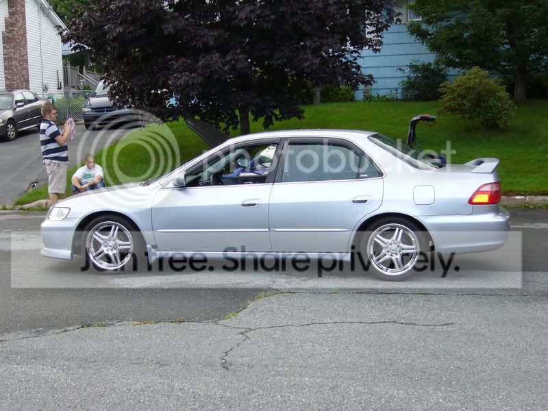 Picture309.jpg
