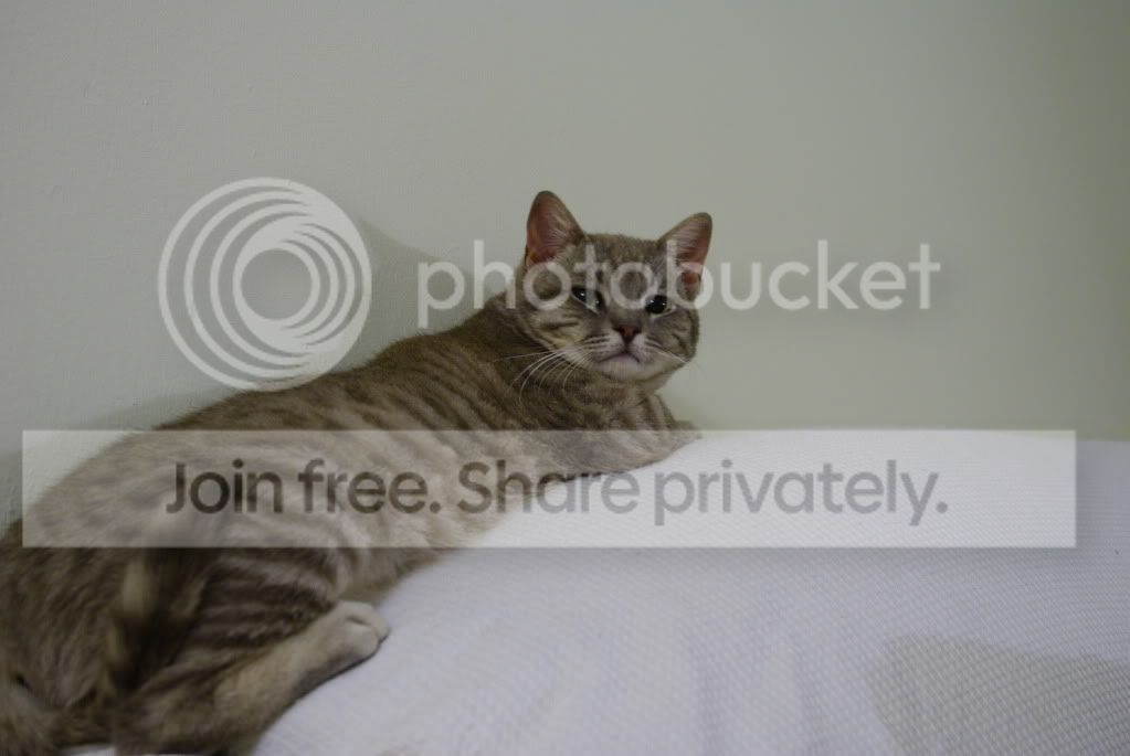 IMGP1558.jpg