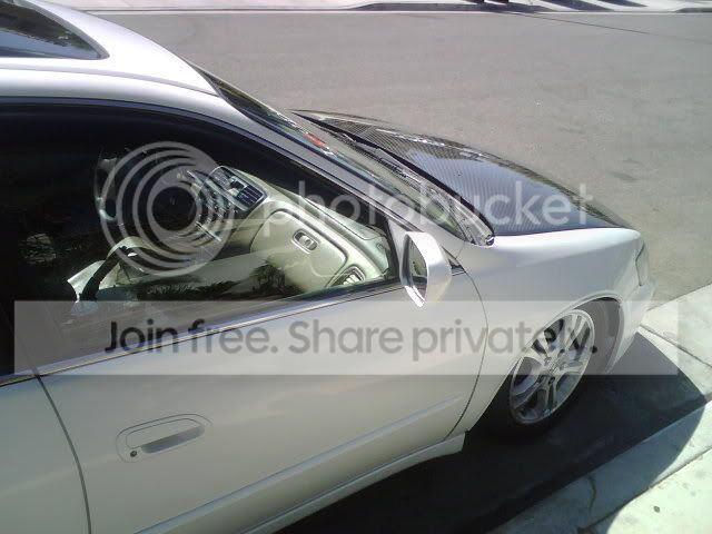 IMG00929.jpg