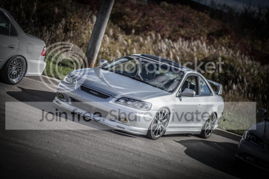 IMG_2657_zps07e8f2ef.jpg