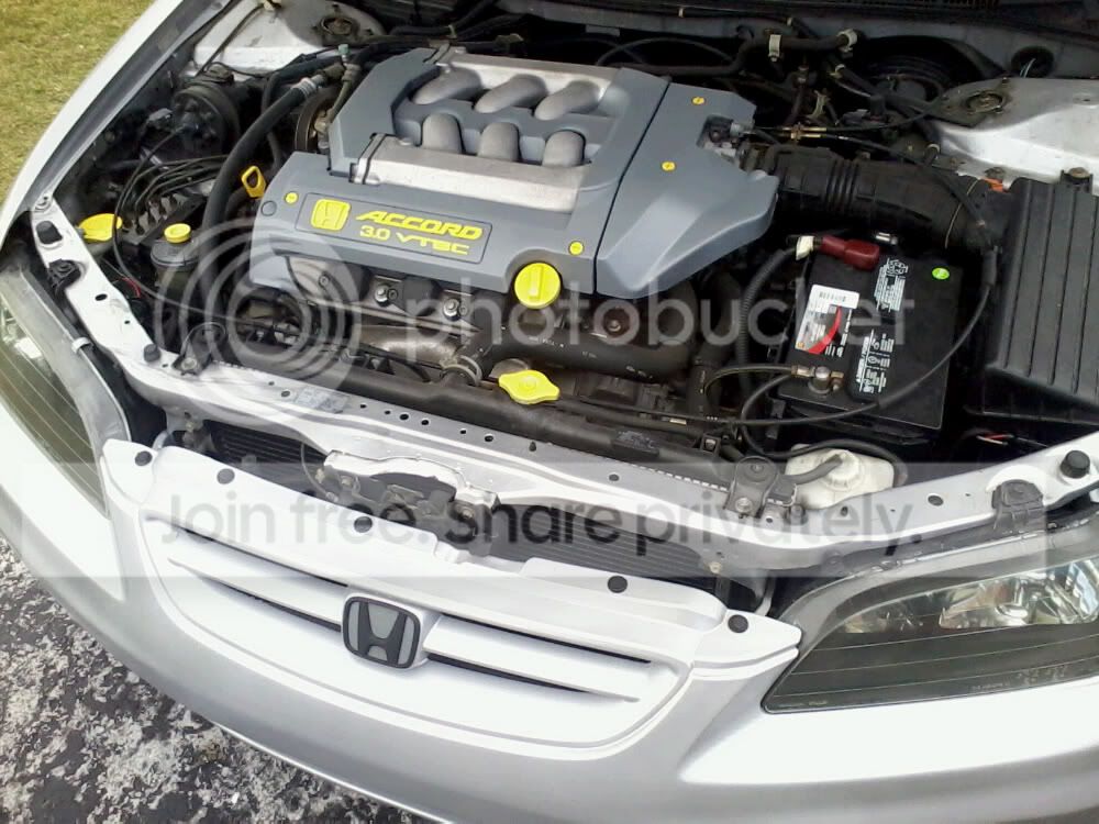 dawhip8.jpg