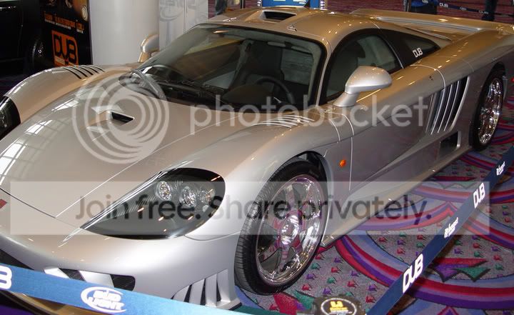 SaleenS7.jpg