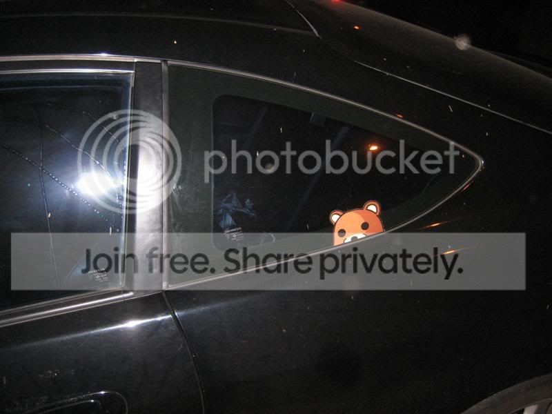 IMG_6799Medium.jpg