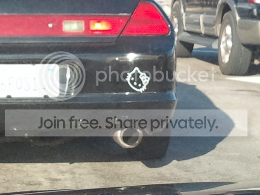 2011-03-27173755.jpg
