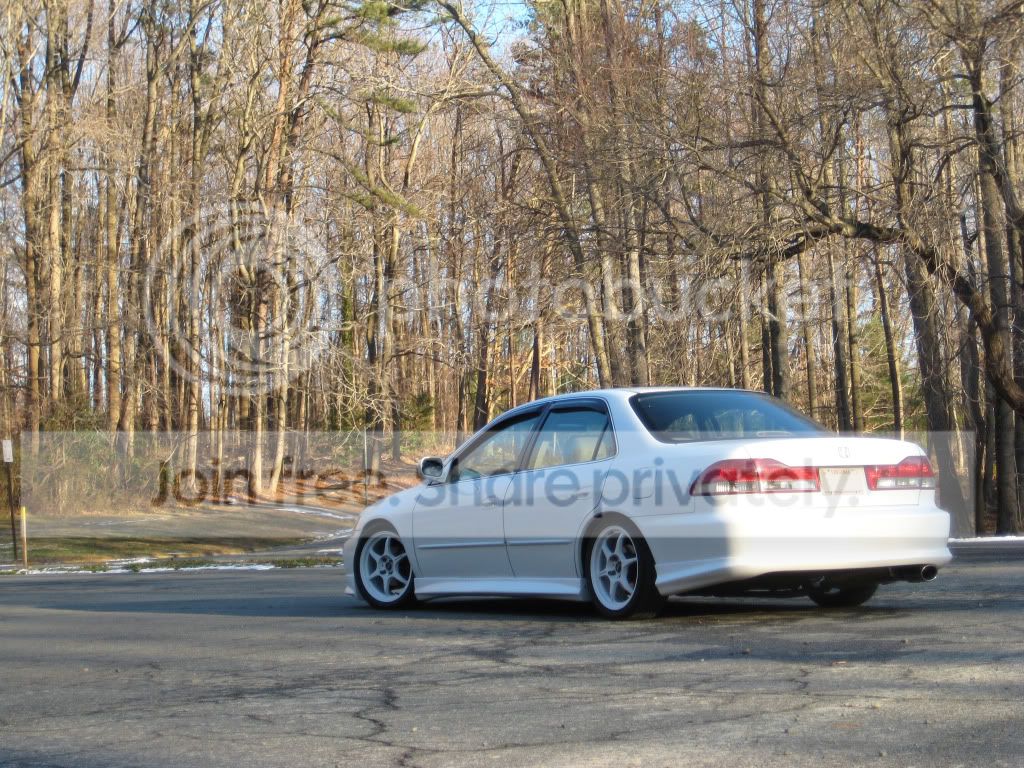 IMG_5297.jpg