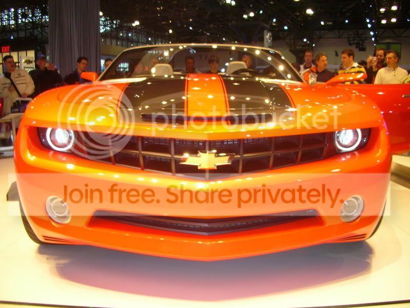 DSCN1337.jpg