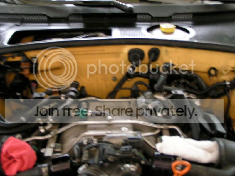 PICT7286.jpg