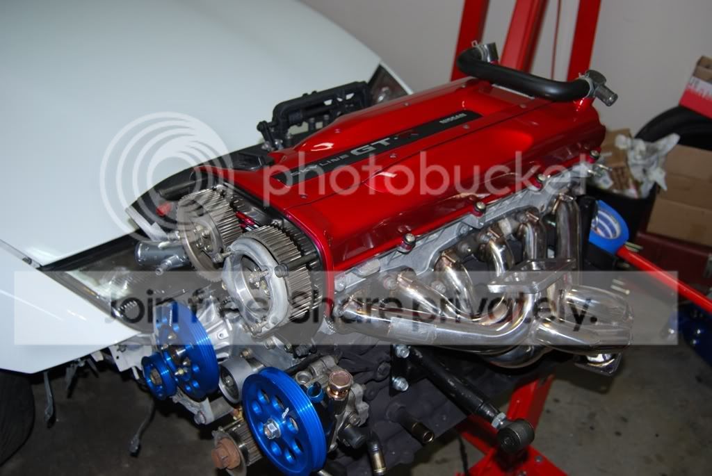 DSC_3113.jpg