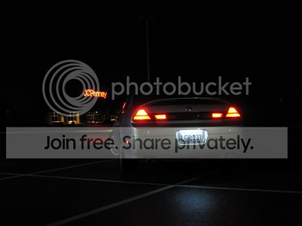 IMG_1229.jpg