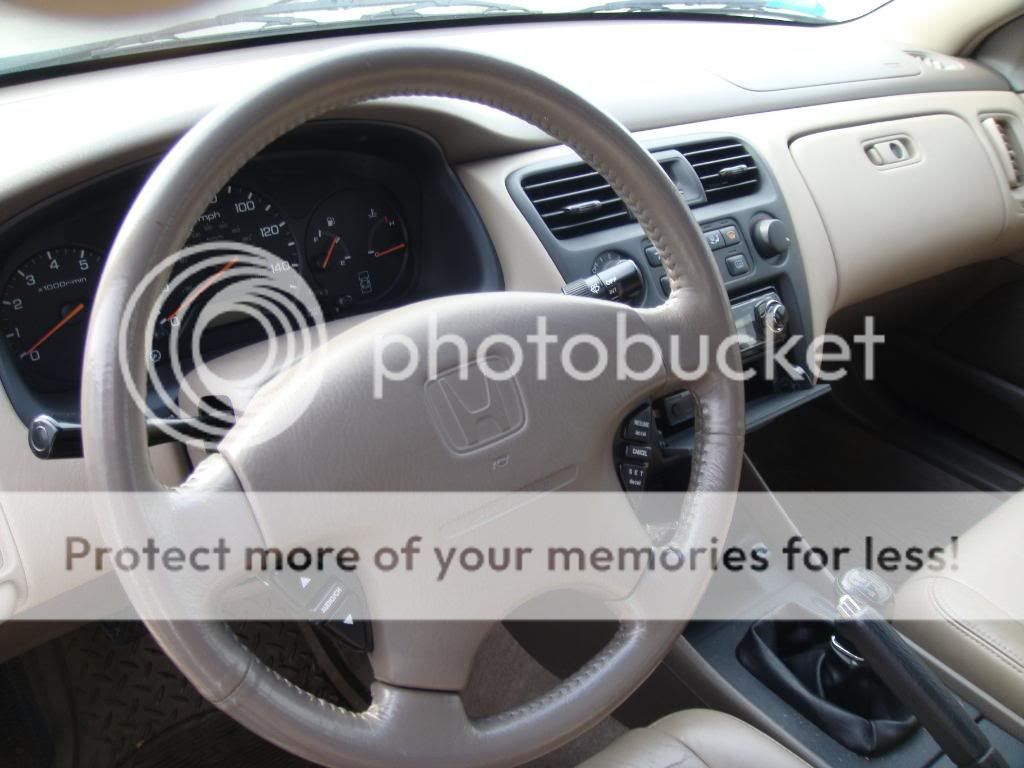 newleather.jpg