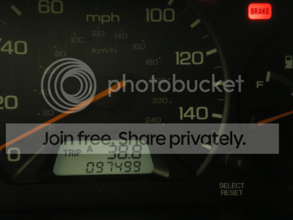 IMGP0180.jpg