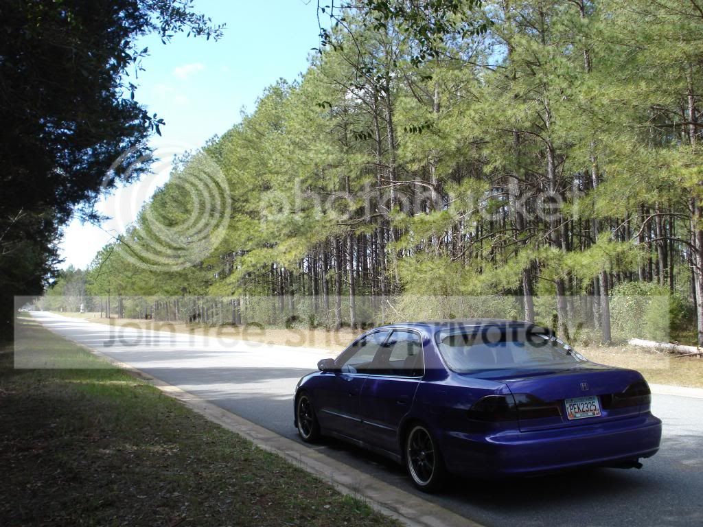 598_zps5bfb867b.jpg