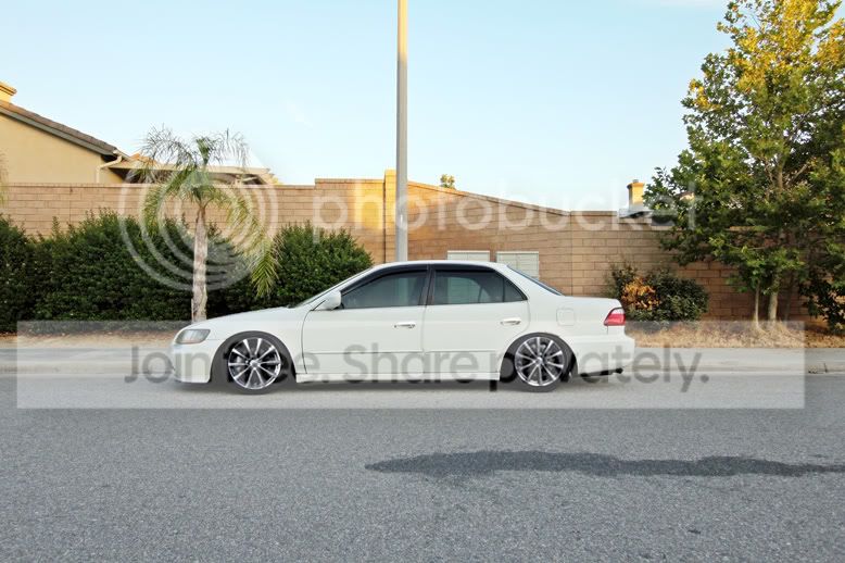 accord4copy.jpg