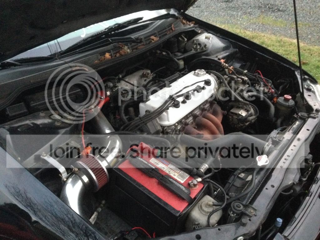 image2_zps50c16ed0.jpg