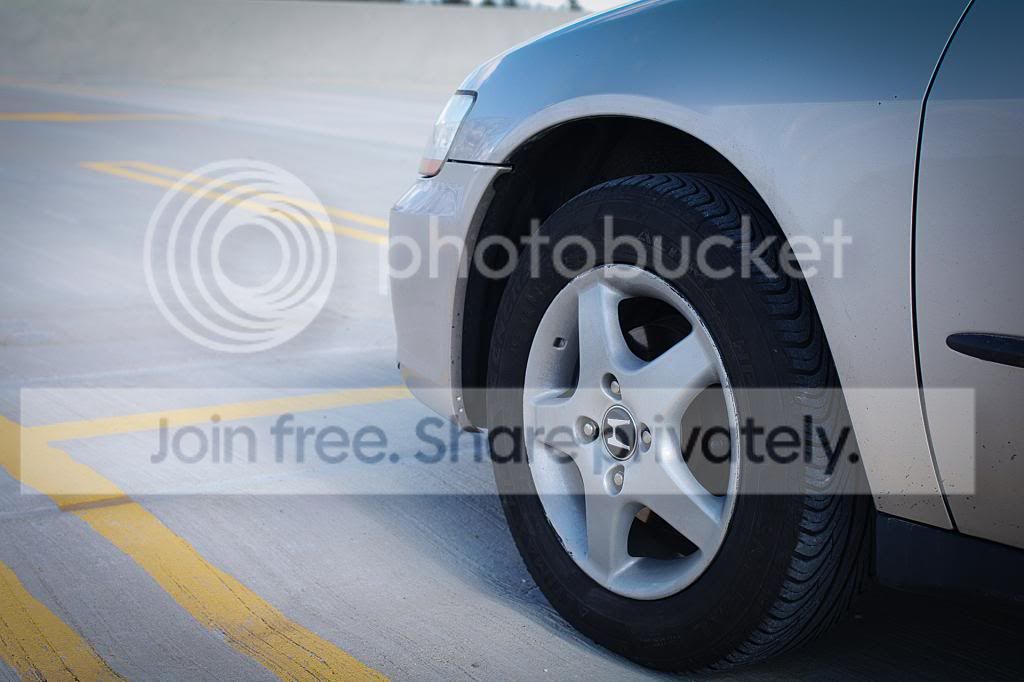 IMGP2649-2_zpsc298fc5b.jpg