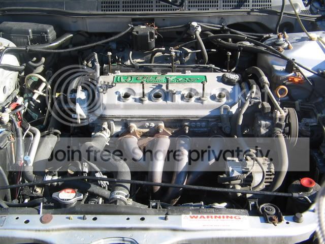 Accordtune-up017.jpg
