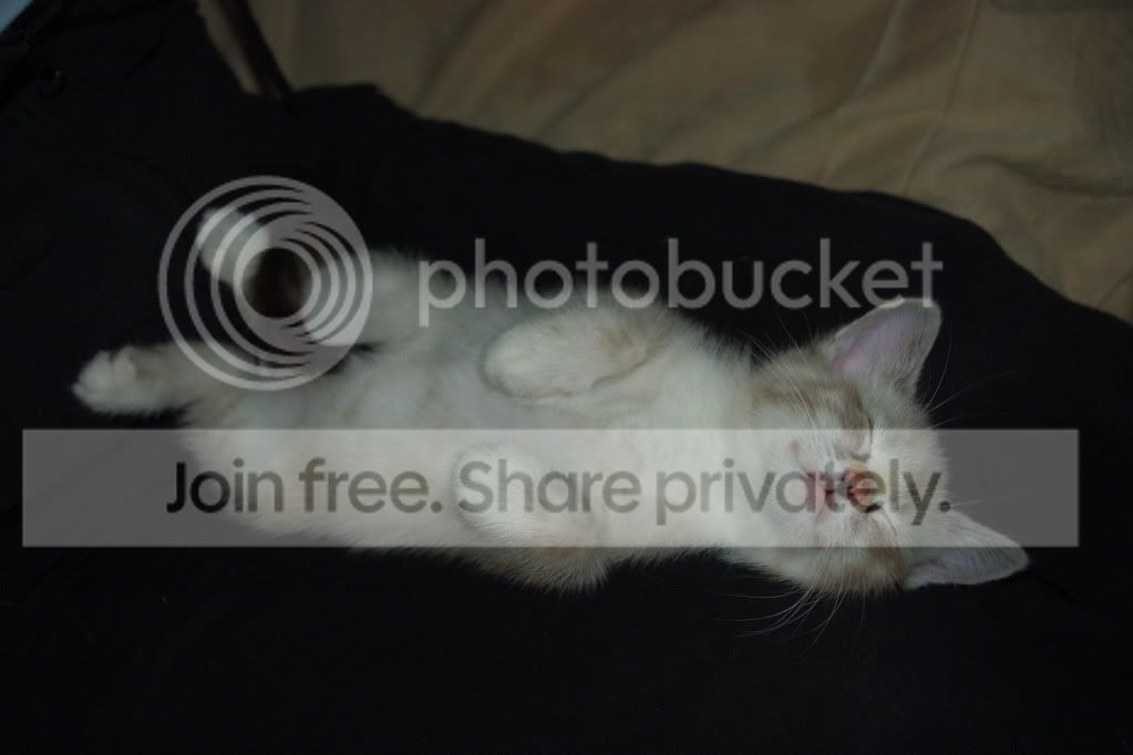 IMGP2754.jpg