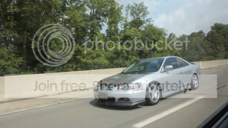 IMG_0894.jpg