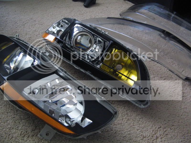 readytoseal005.jpg