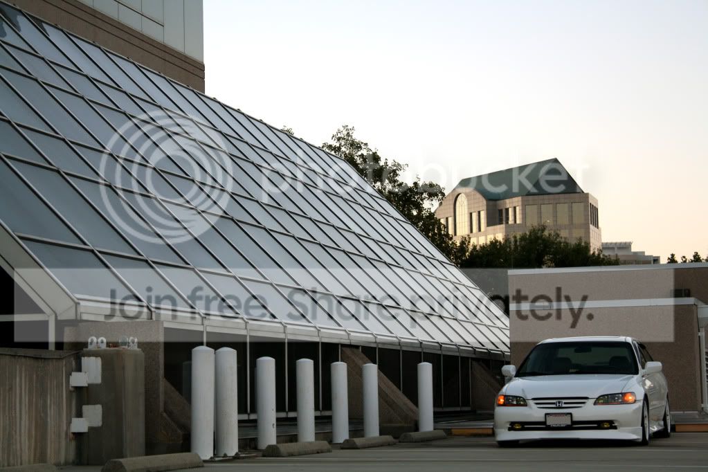 IMG_4682copy.jpg