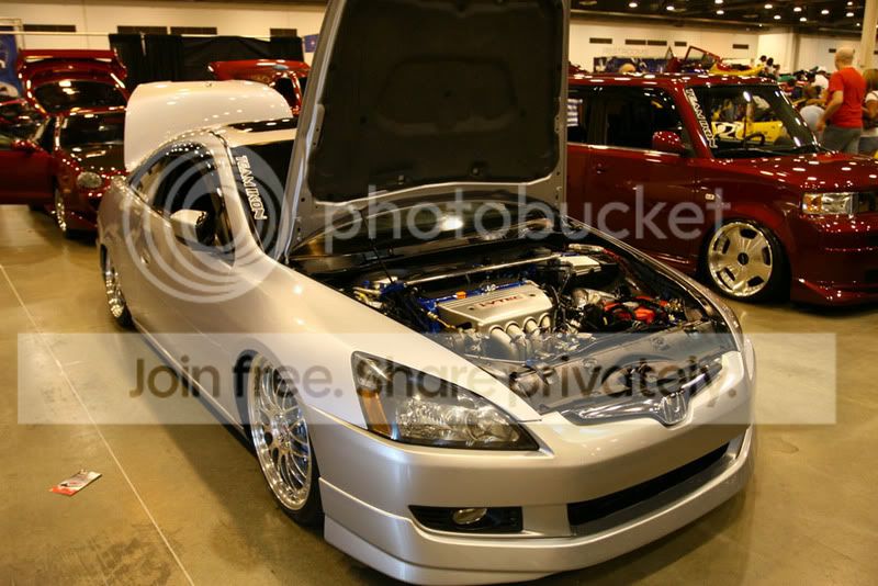 Dub2008_125.jpg