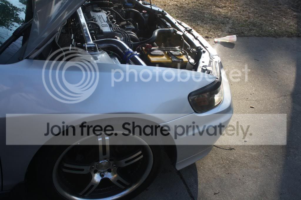 IMG_0230_zpsa2af212b.jpg