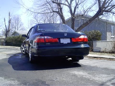 backfull.jpg