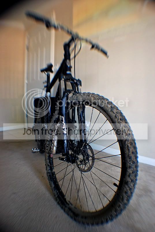 bike012a.jpg