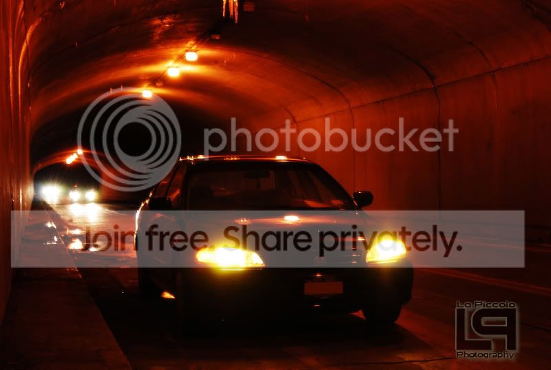 DSC_0139copy.jpg