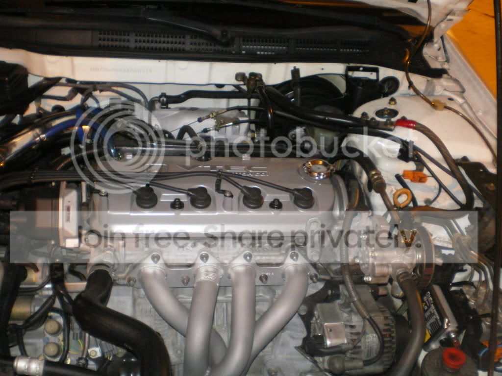 IMGP0870.jpg