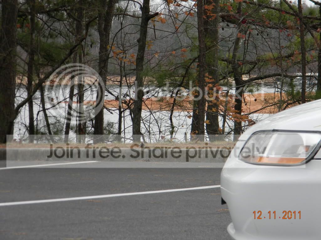DSCN0310.jpg