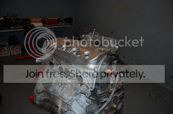 DSC_0124.jpg