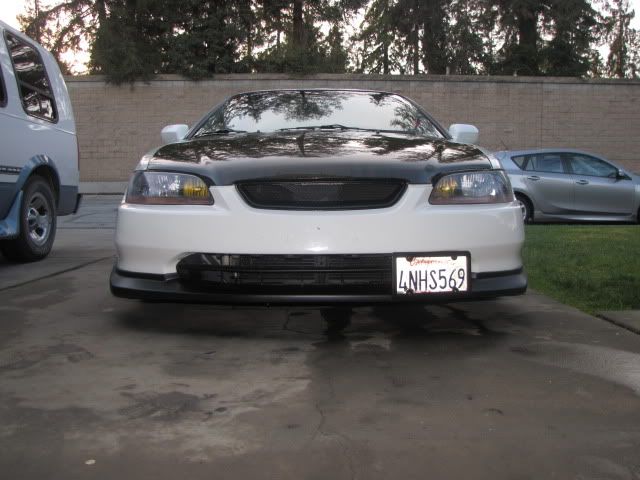 newlip003.jpg