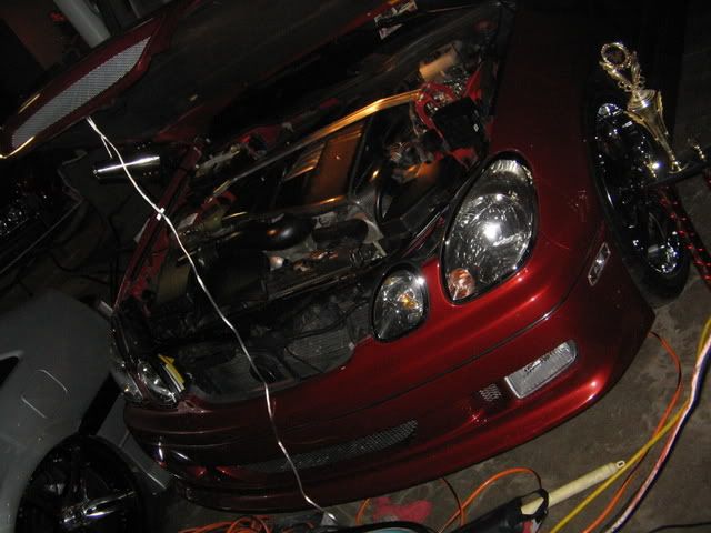 HINBoston2K7155.jpg