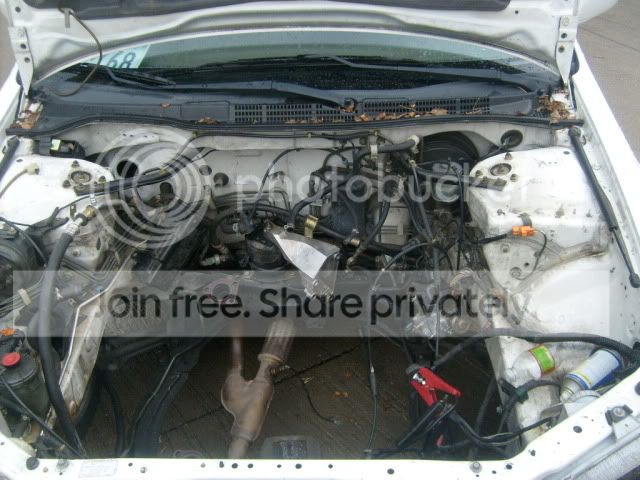 S6301119.jpg