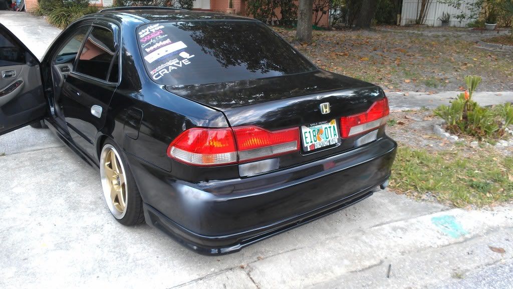 IMAG0456.jpg