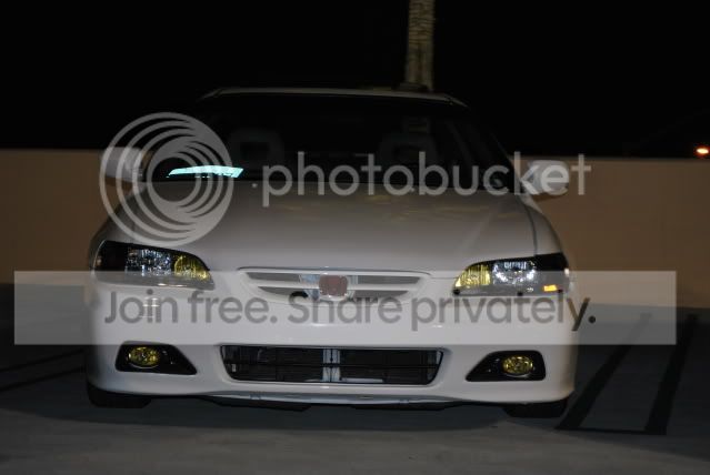 DSC_0087.jpg