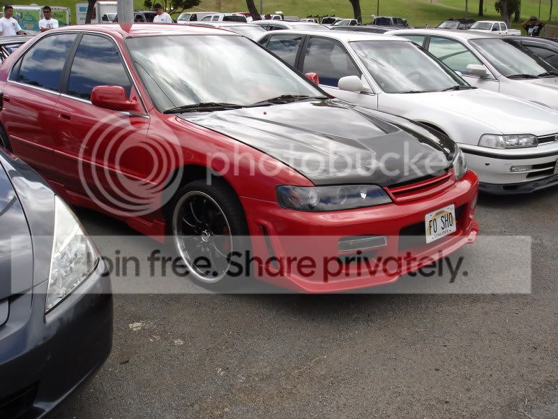 Picture033.jpg