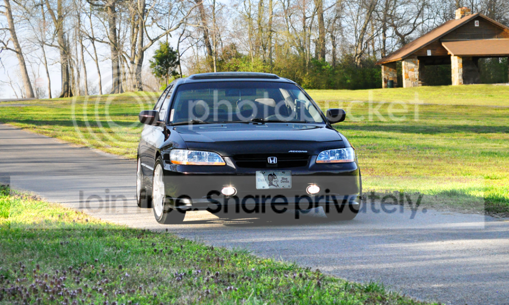 DSC_0230_zpscd422898.png