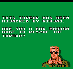 Hijack-Duke_Nukem_Mission.gif