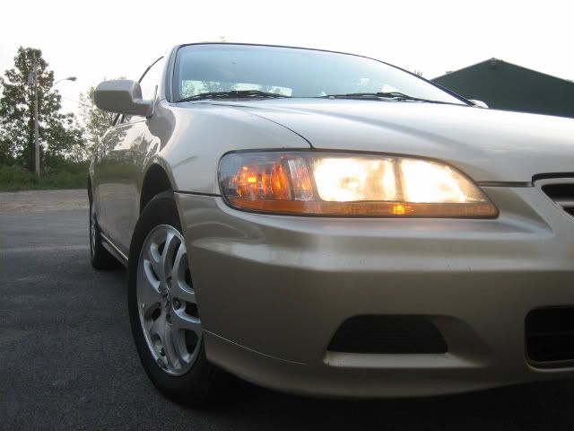 Picture030.jpg