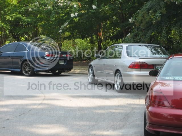 IMG_0195.jpg