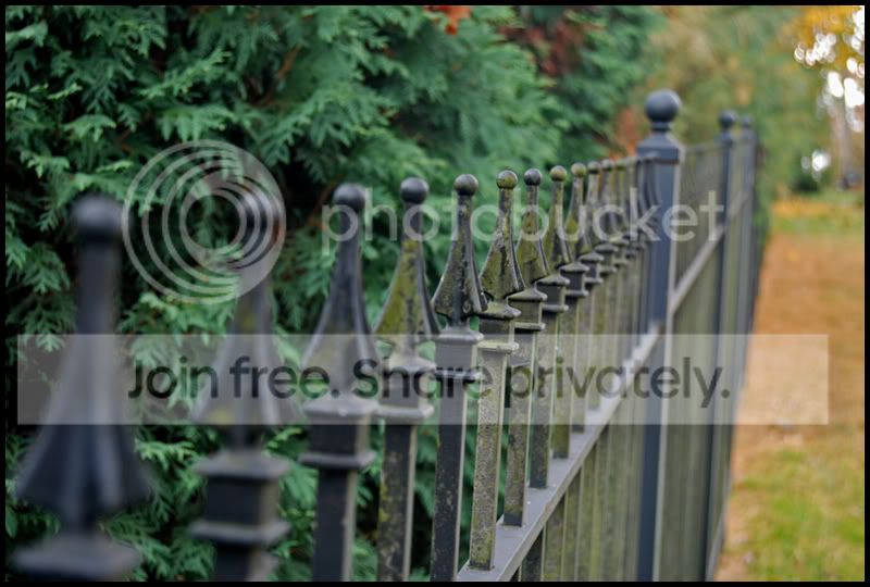 Fall063a.jpg