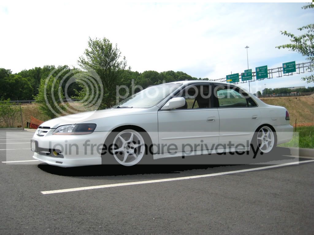 IMG_6061lowercopy.jpg