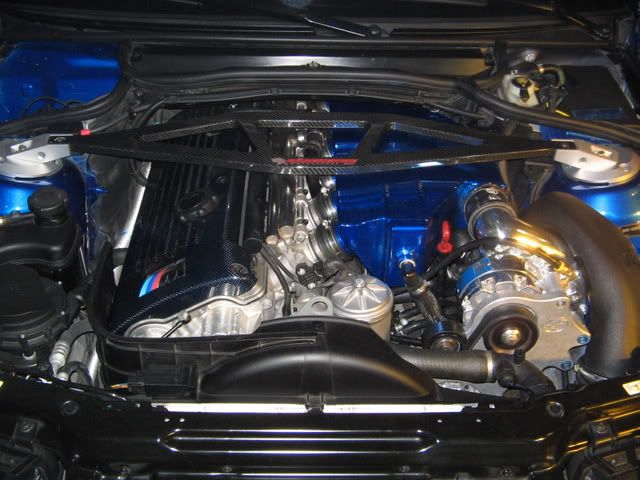 HINBoston2K7176.jpg